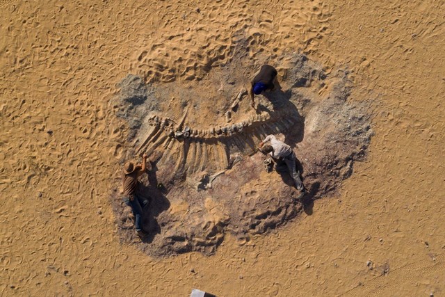 [ẢNH] Kho tàng xương khủng long mắc kẹt ở sa mạc Sahara vì dịch Covid-19 - Ảnh 1.