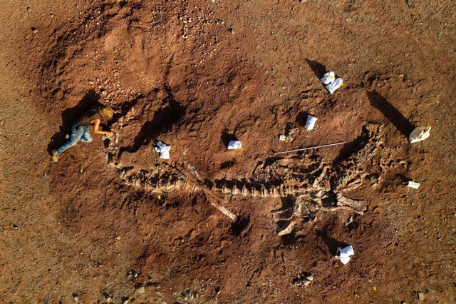 [ẢNH] Kho tàng xương khủng long mắc kẹt ở sa mạc Sahara vì dịch Covid-19 - Ảnh 2.