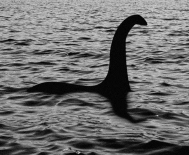 Bí mật về quái vật giống quái vật hồ Loch Ness - Ảnh 3.