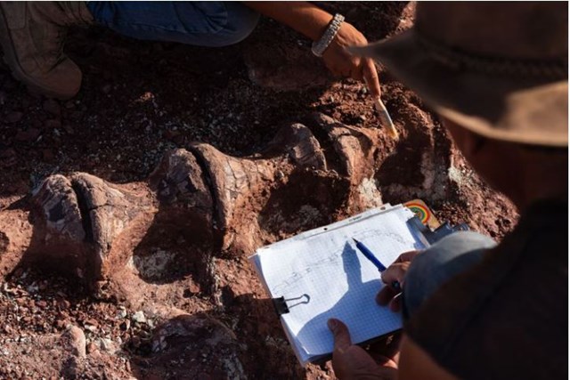 [ẢNH] Kho tàng xương khủng long mắc kẹt ở sa mạc Sahara vì dịch Covid-19 - Ảnh 3.