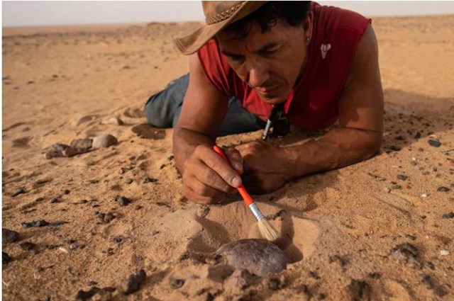 [ẢNH] Kho tàng xương khủng long mắc kẹt ở sa mạc Sahara vì dịch Covid-19 - Ảnh 4.