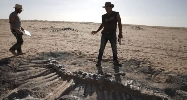 [ẢNH] Kho tàng xương khủng long mắc kẹt ở sa mạc Sahara vì dịch Covid-19 - Ảnh 6.