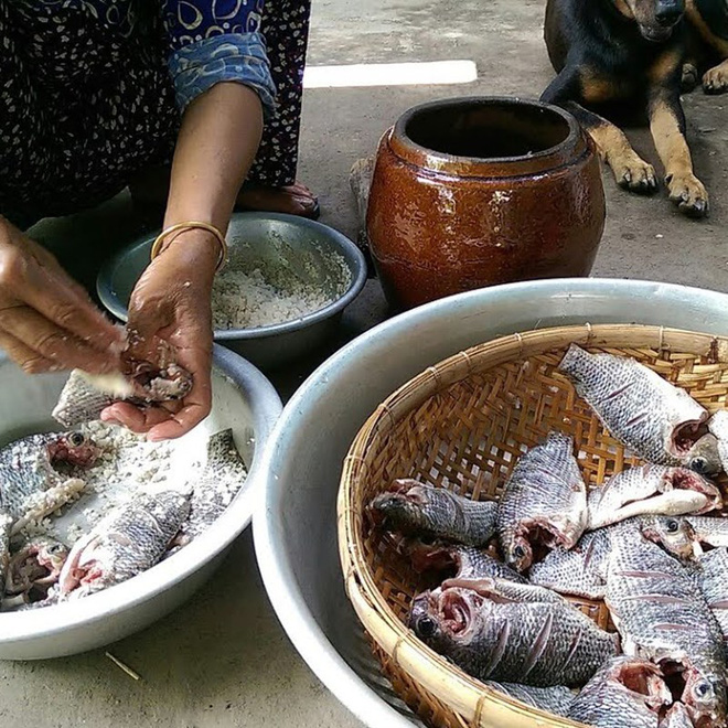 Ở miền Tây có 1 đặc sản muốn ngon là phải để cả đàn giòi bò lúc nhúc, quy trình chế biến thuộc dạng kỳ công bậc nhất - Ảnh 4.