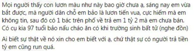 Sự thật về con lươn có màu vàng choé được trả giá đến 1,2 tỷ VNĐ, dân mạng hoang mang làm giàu dễ thế à? - Ảnh 1.