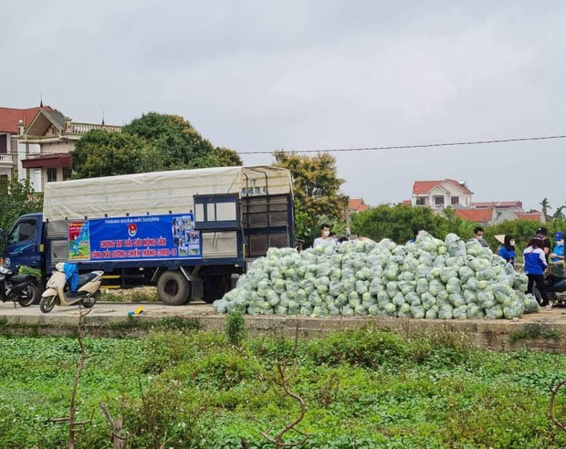 Vợ chồng Tuấn Hưng giải cứu 8 tấn nông sản cho bà con tỉnh Hải Dương gặp khó khăn giữa dịch Covid-19 - Ảnh 4.