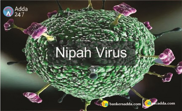 WHO cảnh báo virus Nipah có thể đột biến và gây ra đại dịch tiếp theo - Ảnh 1.