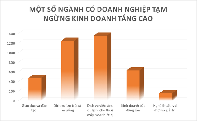 Hơn 1.000 doanh nghiệp bất động sản thành lập mới chỉ trong 2 tháng đầu năm - Ảnh 3.