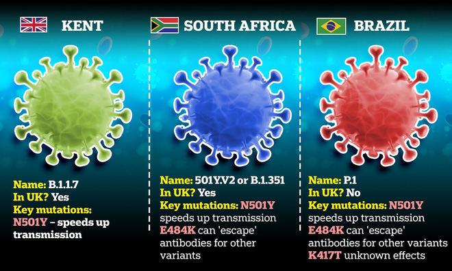 Biến thể virus SARS-CoV-2 mới ở Anh lại tiếp tục biến thể - Ảnh 3.