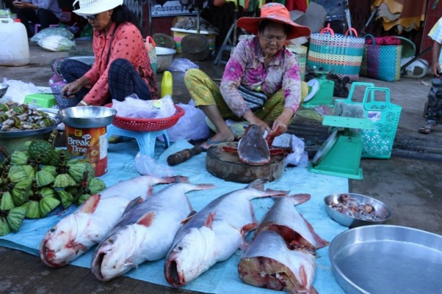 Campuchia hủy bỏ lệnh cấm nhập khẩu cá từ Việt Nam - Ảnh 1.