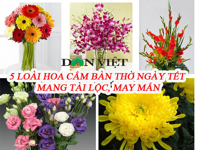 5 Loại Hoa Cắm Bàn Thờ Dịp Tết Hút Tài Lộc, May Mắn Trong Năm Mới