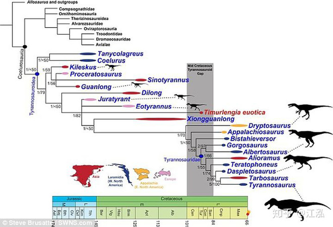 Giải mã bí ẩn về sự trỗi dậy của họ Tyrannosaurus - Khủng long bạo chúa - Ảnh 11.