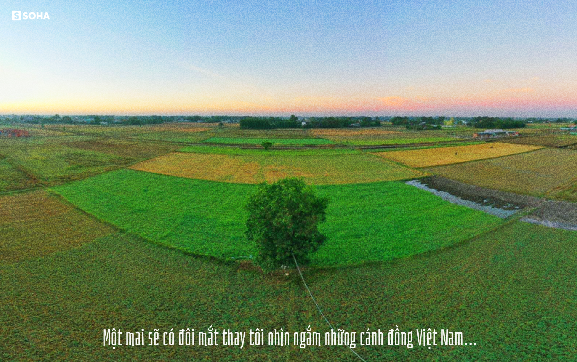 GS Võ Tòng Xuân: “Đừng đổ lỗi cho Trung Quốc nữa, chính chúng ta đang cãi trời” - Ảnh 13.