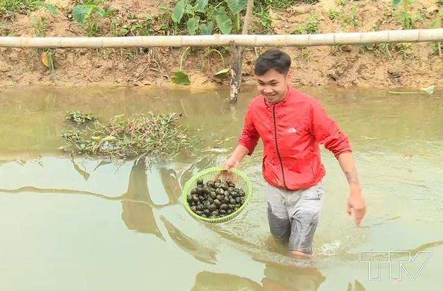 Bắt con biết bò loanh quanh, ăn với đẻ, xong lăn ra ngủ, mỗi năm đút túi hàng trăm triệu - Ảnh 1.