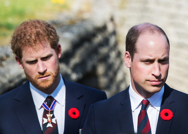 Sau lùm xùm, Hoàng tử William và Harry sẽ sớm tái ngộ vì lý do đặc biệt, cũng chính là thứ duy nhất có thể hàn gắn tình anh em - Ảnh 3.