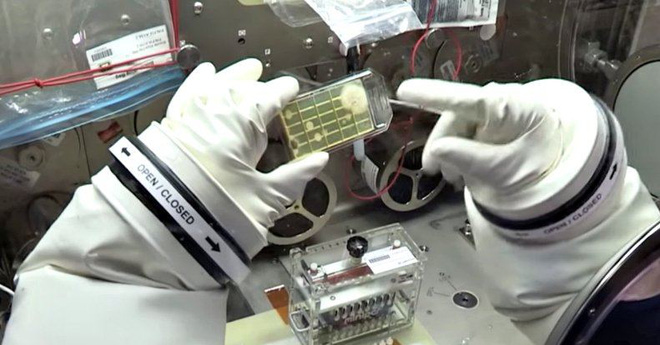 Các nhà khoa học phát hiện 3 chủng vi khuẩn chưa từng thấy trên Trạm Vũ trụ Quốc tế ISS - Ảnh 2.