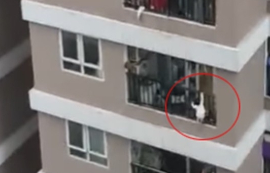 Chuyên gia Nhi khoa phân tích: Điểm rơi cực may mắn của cháu bé ngã từ tầng 13 - Ảnh 1. Chuyên gia Nhi khoa phân tích: Điểm rơi cực may mắn của cháu bé ngã từ tầng 13 - Ảnh 1.