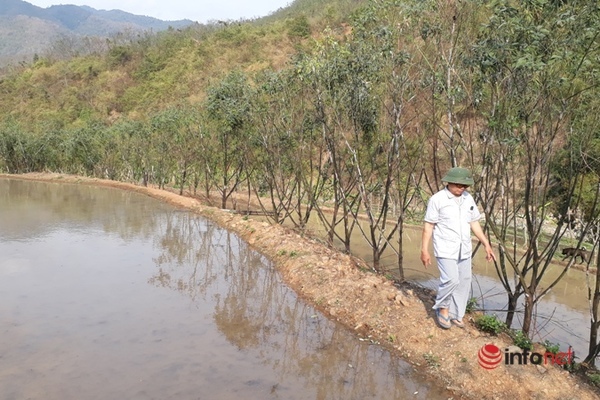 Thu nhập trăm triệu mỗi năm, người dân miền biên xứ Thanh đổi đời nhờ loại côn trùng bé xíu - Ảnh 4.