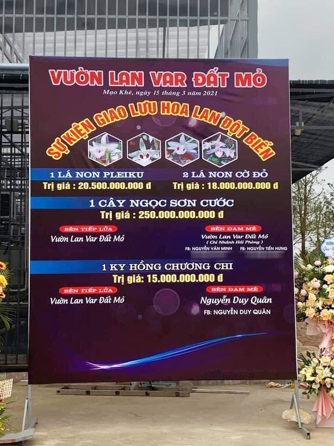 Từ cơn sốt lan đột biến, nhìn lại cảnh tán gia bại sản vì cầm cố nhà cửa chạy theo cơn sốt chó Nhật - Ảnh 1.