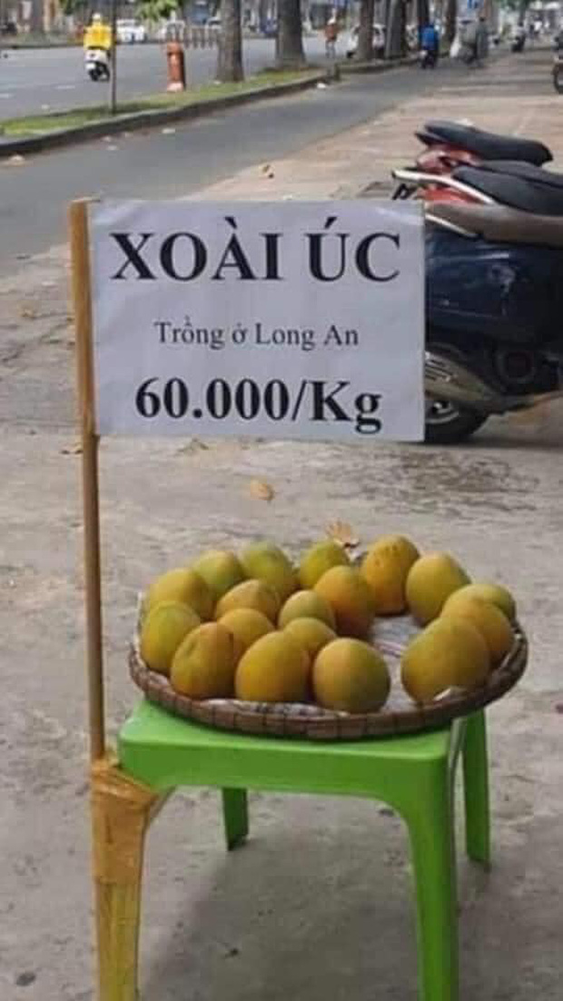 Thấy bảng ghi xoài Úc 60 ngàn 1 ký, khách tấp vào xem thì suýt ngã xe vì dòng chữ in nhỏ phía dưới - Ảnh 1.