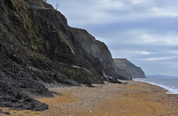 Mary Anning: Người phụ nữ đầu tiên làm nhà cổ sinh vật học - Kỳ 1 - Ảnh 3. Mary Anning: Người phụ nữ đầu tiên làm nhà cổ sinh vật học - Kỳ 1 - Ảnh 3.