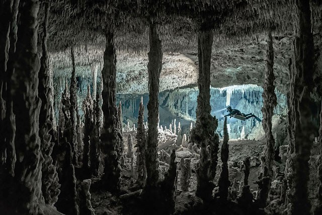 Mê mẩn với cảnh đẹp tuyệt trần của hang động dưới nước trong rừng rậm - Ảnh 7.
