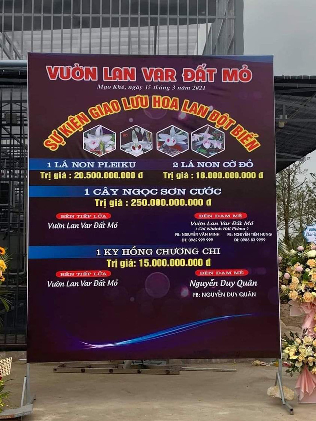 Hội Giống cây trồng Việt Nam nói về lan đột biến tiền tỷ - Ảnh 1.