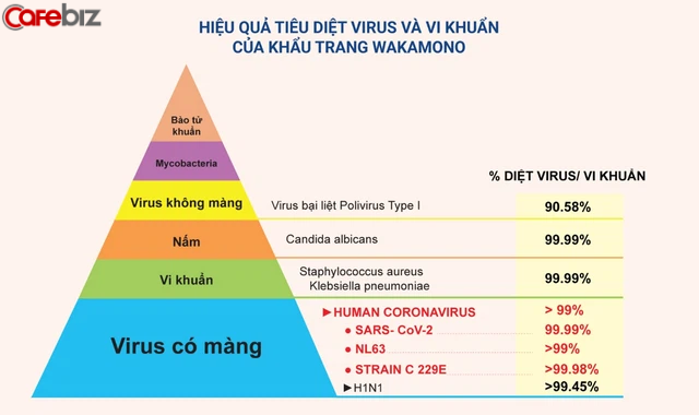 Giữa lúc toàn cầu loay hoay, một sản phẩm made in Vietnam diệt tới 99% virus corona và biến chủng khiến các nhà khoa học thế giới phải sửng sốt - Ảnh 1.