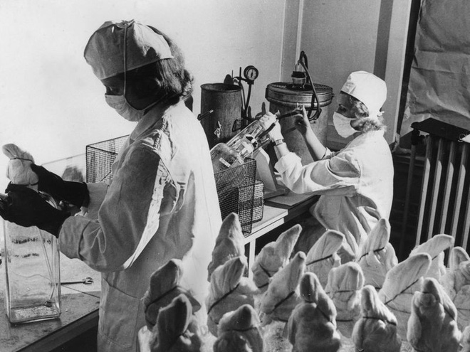Li kỳ vụ trộm vắc-xin đi vào lịch sử năm 1959: Nó đã dạy chúng ta điều gì trong cuộc tiêm chủng COVID-19? - Ảnh 7.