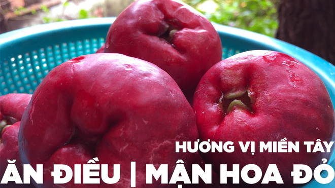 Việt Nam có loại quả lạ khiến ai cũng nhầm lẫn khi lần đầu nhìn thấy, giờ hiếm người trồng nên rất khó ăn được - Ảnh 8.