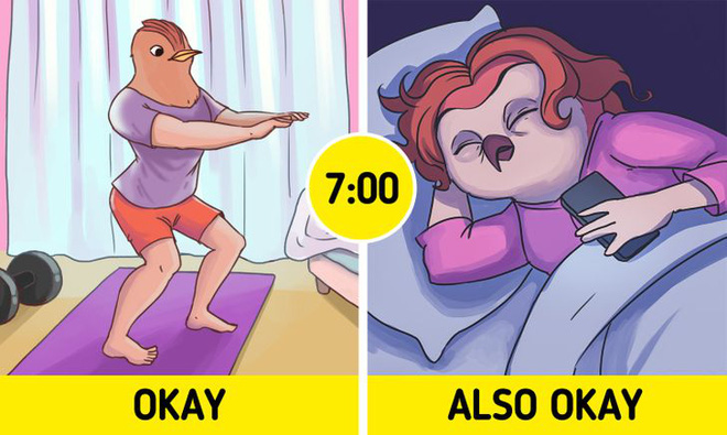 Đi ngủ sớm chưa hẳn đã tốt: Đây là cách tính thời điểm hoàn hảo để bạn đi ngủ và thức dậy - Ảnh 1.
