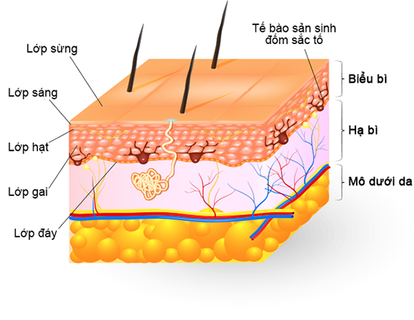 Cách nào để có làn da khỏe - đẹp? - Ảnh 1.