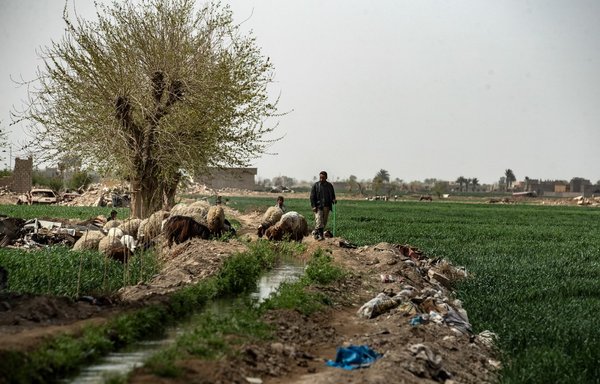  Đánh tận hang ổ, không quân Nga khiến IS chết như ngả rạ ở Syria - Ảnh 1.