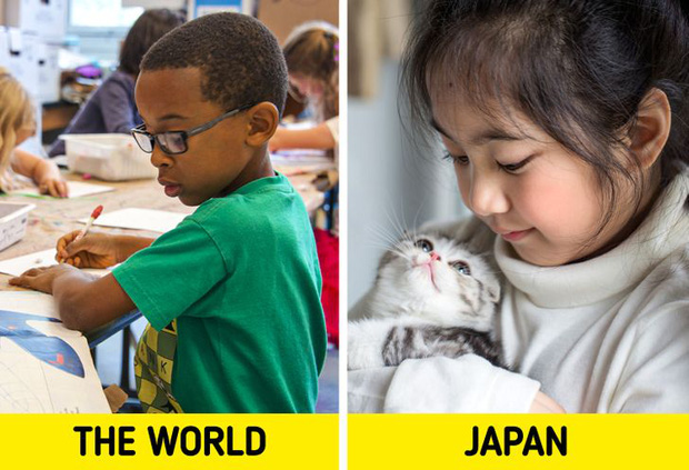 6 bí mật rất đáng học hỏi từ hệ thống giáo dục Nhật Bản, đặt nền móng định hướng để trẻ em thành công từ rất sớm - Ảnh 1.