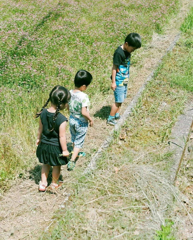 Từ thành phố chuyển về nông thôn ở nhà gỗ, gia đình Nhật Bản biến cuộc sống bình thường trở thành thiên đường! - Ảnh 14.