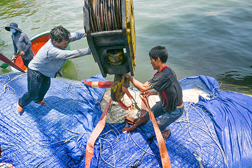 Một số hình ảnh đưa cá voi nặng hơn 4 tấn vào bờ - Ảnh 5.