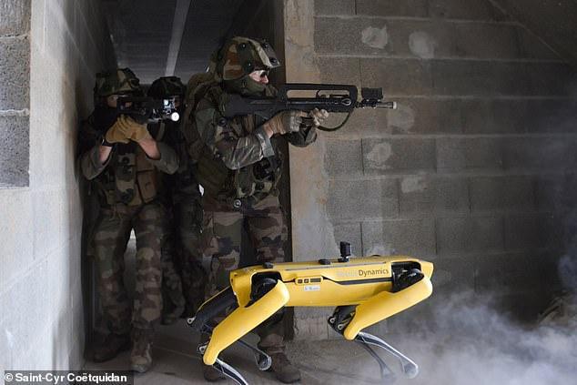 Xem chó robot trị giá 1,7 tỷ đồng của quân đội Pháp trổ tài chiến đấu - Ảnh 1.