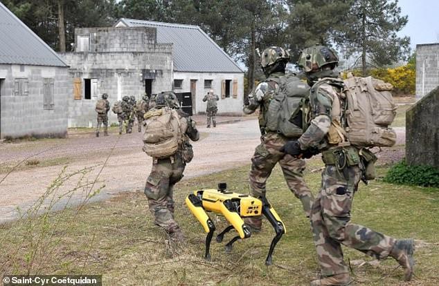 Xem chó robot trị giá 1,7 tỷ đồng của quân đội Pháp trổ tài chiến đấu - Ảnh 2.