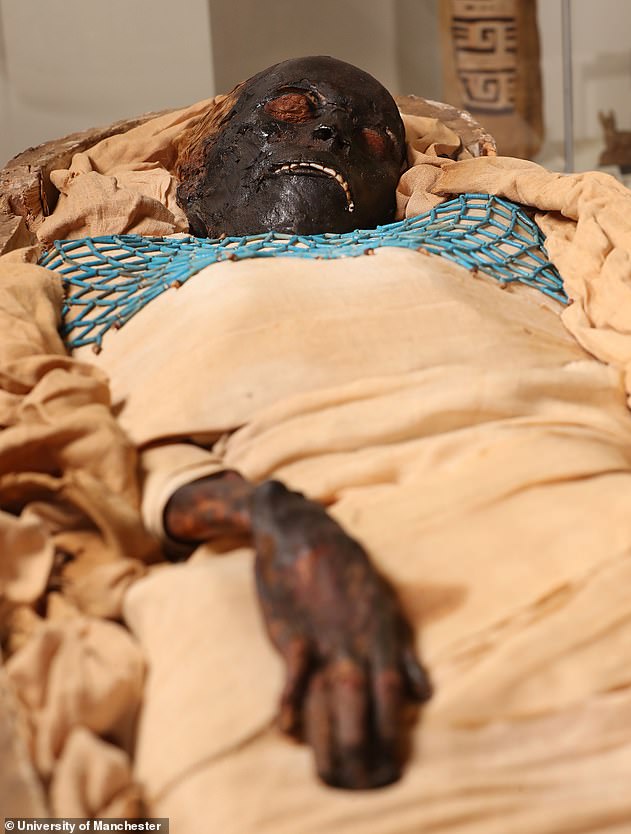 Phát hiện bất ngờ về xác ướp người phụ nữ Ai Cập 2.600 năm tuổi nổi tiếng - Ảnh 4.