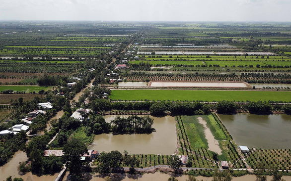 Ngân hàng rao bán khoản nợ trăm tỷ của Nông trường Sông Hậu - Ảnh 1.