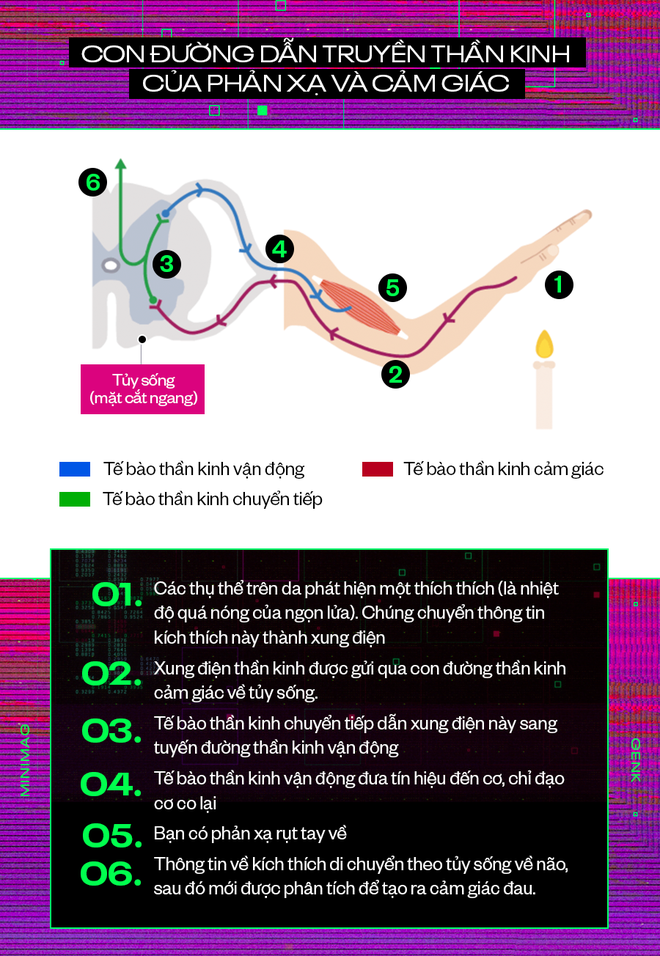 Suy nghĩ chạy trong đầu bạn với vận tốc 180km/h, nhưng vẫn chưa đủ nhanh để con người thoát khỏi cảnh giật lag - Ảnh 5.