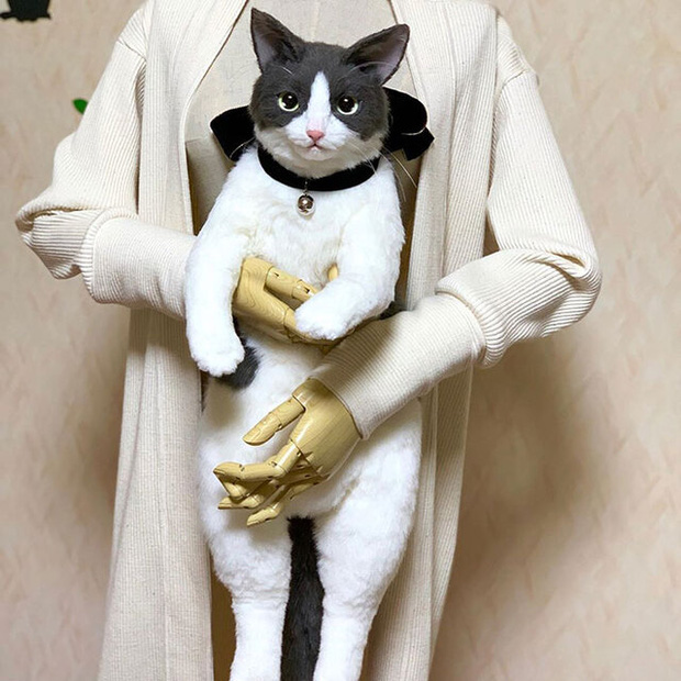 Balo mèo gây lú chiếm trọn trái tim netizen Nhật, giống thật tới nỗi hội mê mèo nhìn qua đã muốn xuống tiền mua luôn - Ảnh 1.