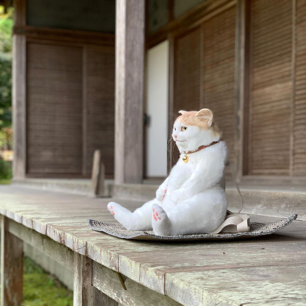 Balo mèo gây lú chiếm trọn trái tim netizen Nhật, giống thật tới nỗi hội mê mèo nhìn qua đã muốn xuống tiền mua luôn - Ảnh 2.