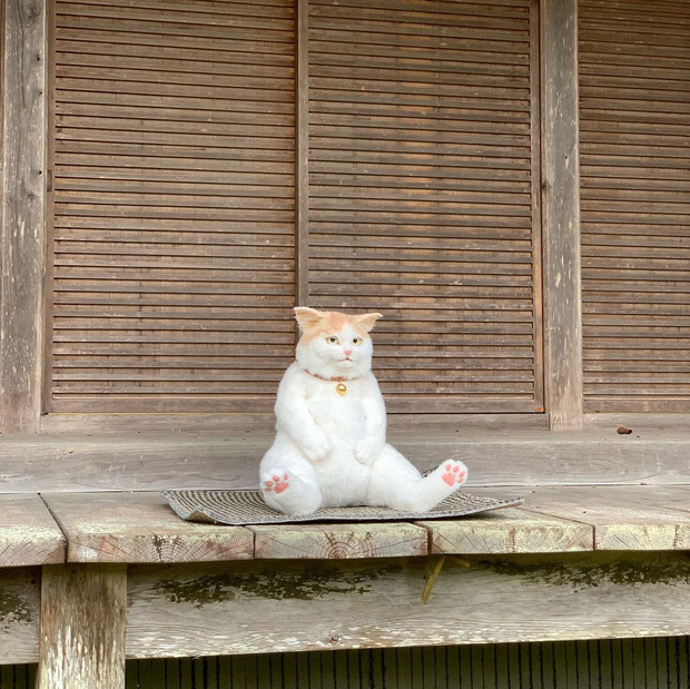 Balo mèo gây lú chiếm trọn trái tim netizen Nhật, giống thật tới nỗi hội mê mèo nhìn qua đã muốn xuống tiền mua luôn - Ảnh 4.