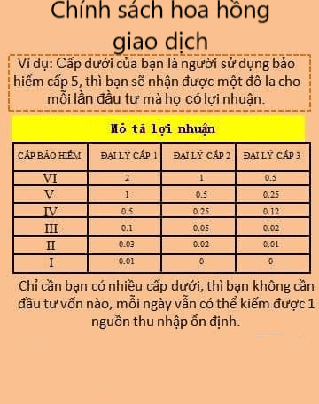 Hàng trăm NĐT đệ đơn tố cáo sàn Coolcat: Dùng chiêu lùa gà mời đầu tư nhận lãi chục triệu đồng/ngày, hoa hồng 40 triệu đồng khi mời bạn bè nhưng đột nhiên sập hệ thống - Ảnh 5.