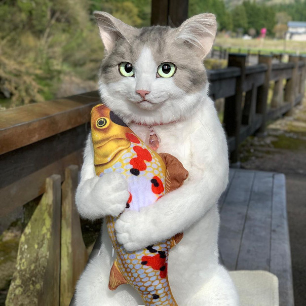 Balo mèo gây lú chiếm trọn trái tim netizen Nhật, giống thật tới nỗi hội mê mèo nhìn qua đã muốn xuống tiền mua luôn - Ảnh 8.
