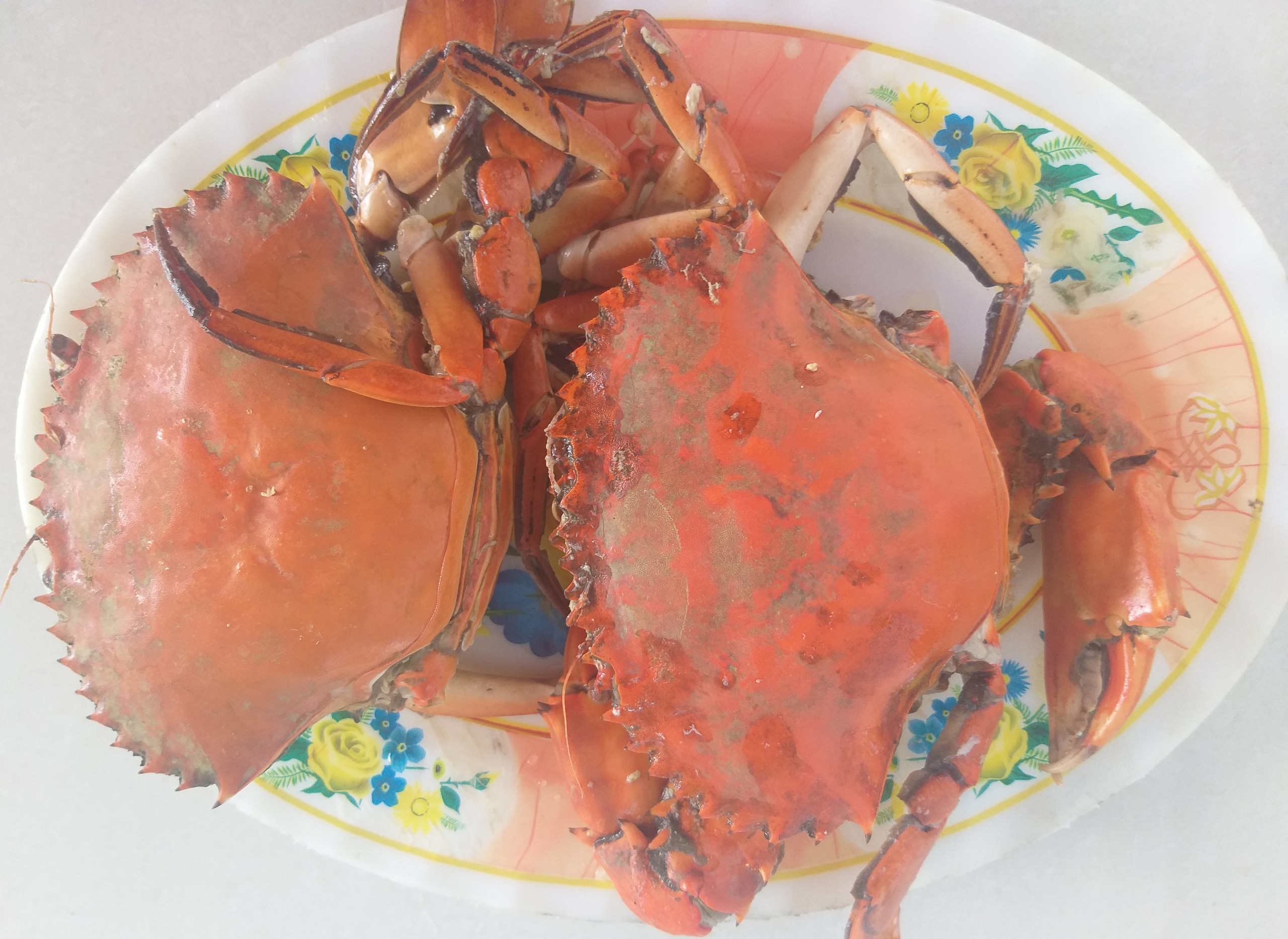 Nông dân dùng tuyệt chiêu bắt cua biển ngon nhất miền Tây - Ảnh 7. Nông dân dùng tuyệt chiêu bắt cua biển ngon nhất miền Tây - Ảnh 7.