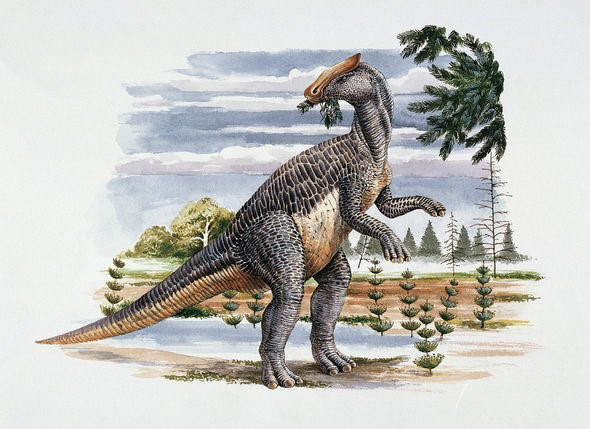 Khám phá mới nhất về khủng long có thể làm thay đổi những hiểu biết của chúng ta - Ảnh 1.