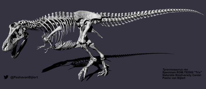 Bạn có thể không cần chạy nhanh hơn một chú T. rex - Đi bộ là đủ nhanh hơn nó rồi - Ảnh 1.