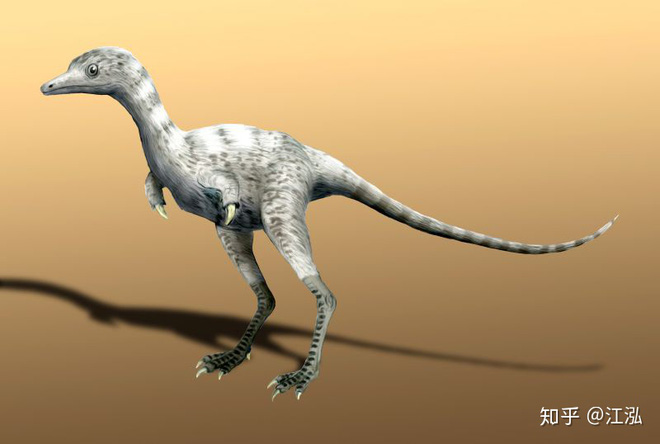 Phát hiện loài động vật hai ngón chuyên ăn cắp trứng khủng long - Ảnh 8.