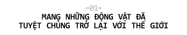 Nhân bản vô tính đang đưa những loài động vật tuyệt chủng trở lại với thế giới - Ảnh 3.